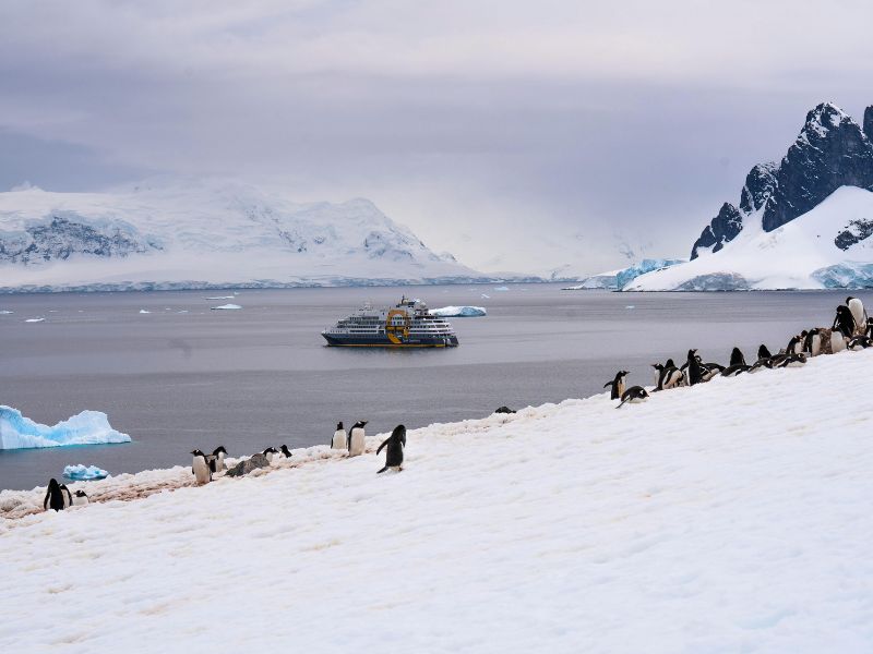 Spirit of Antarctica