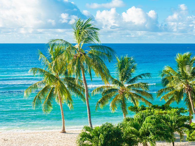 Bargain Barbados Beach Holiday